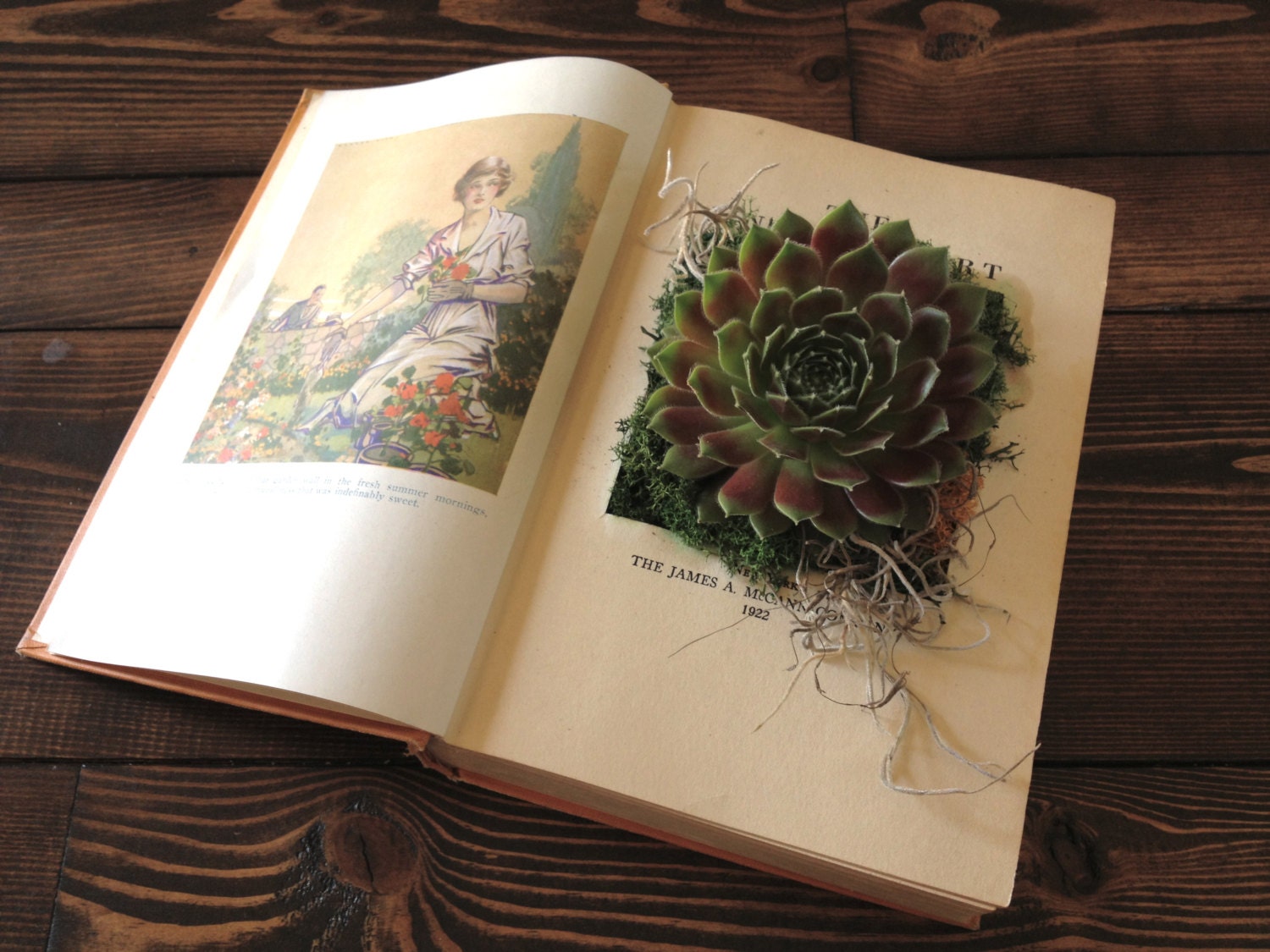 Upcycled Vintage Book Planter for Succulents or Flowers