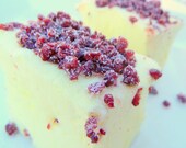 Ravishing Raspberry Lemon Creme Gourmet Marshmallows -1 Dozen Jumbo Size