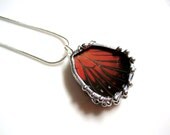 Real Butterfly Wing Jewelry - Pendant - Hamadryas amphinome