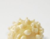 Cream ivory lampwork glass earrings