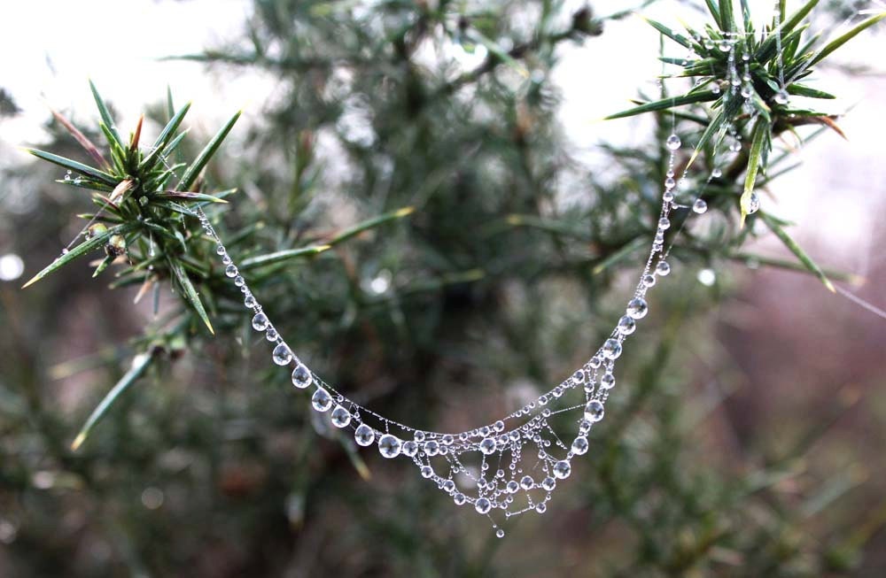 A faerie necklace treasure A4 photo print