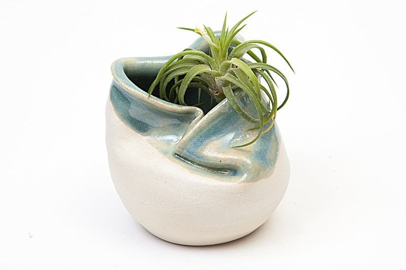 Small Porcelain Vase or Air Plant Home