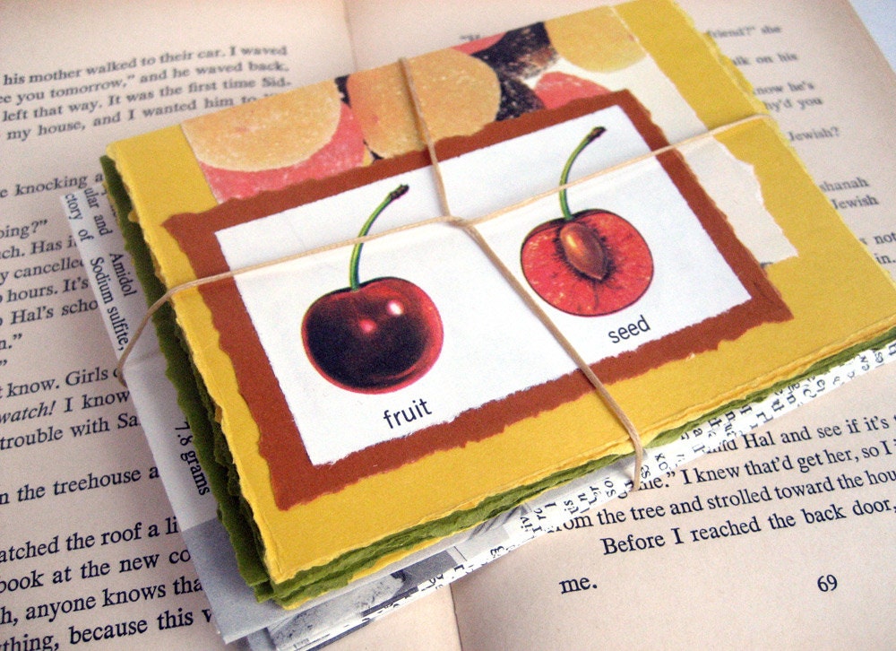 Handmade Collaged Notecards with Nature Illustrations, Upcycled from Science Textbook, with Handmade Envelopes, Set of 6