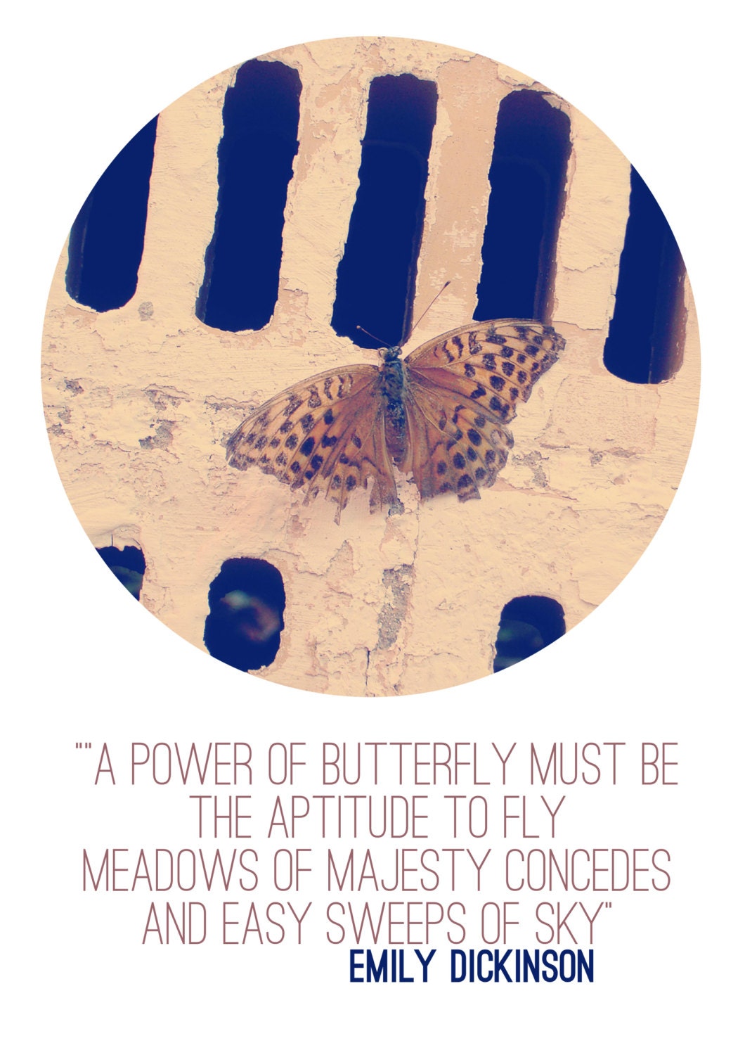 Nature Photo Quote A Power Of Butterfly Fine Art Photograph 17"x12" Photo Print