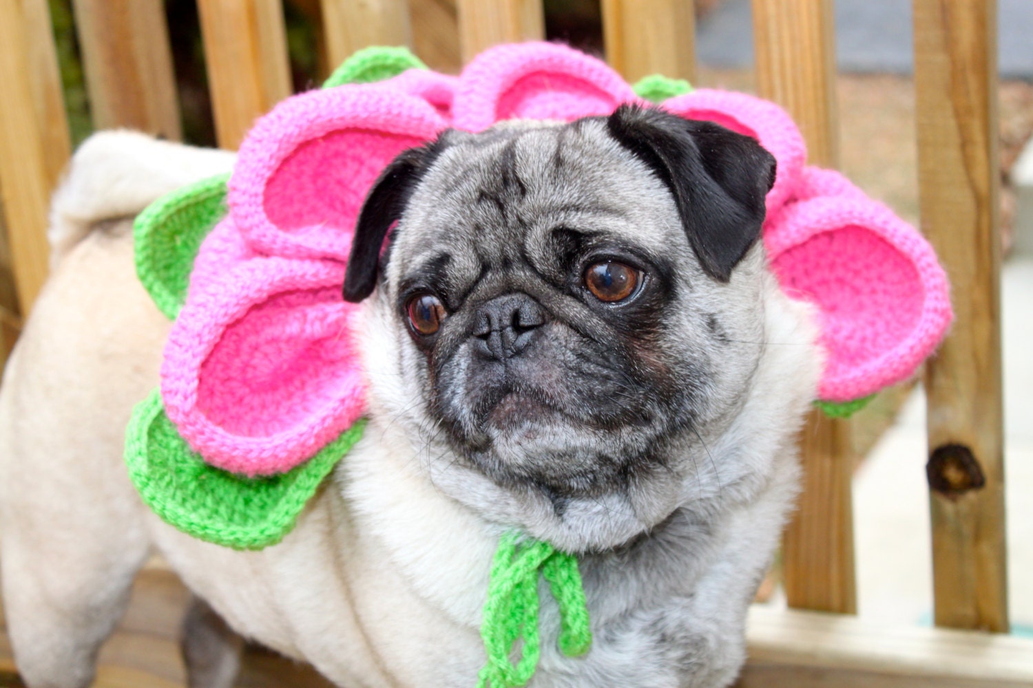 Blooming Petals Fashion Collar / Ready To Ship
