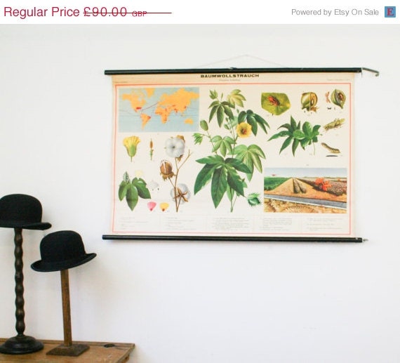 ON SALE Vintage Pull Down Chart, Tropical Crop Plants Cotton