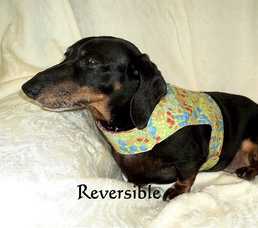 Dachshund vest harness handmade pets clothing adjustable reversible calico and damask design print