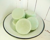 SHAVE SOAP - Summer Melon with Aloe and Bentonite Clay