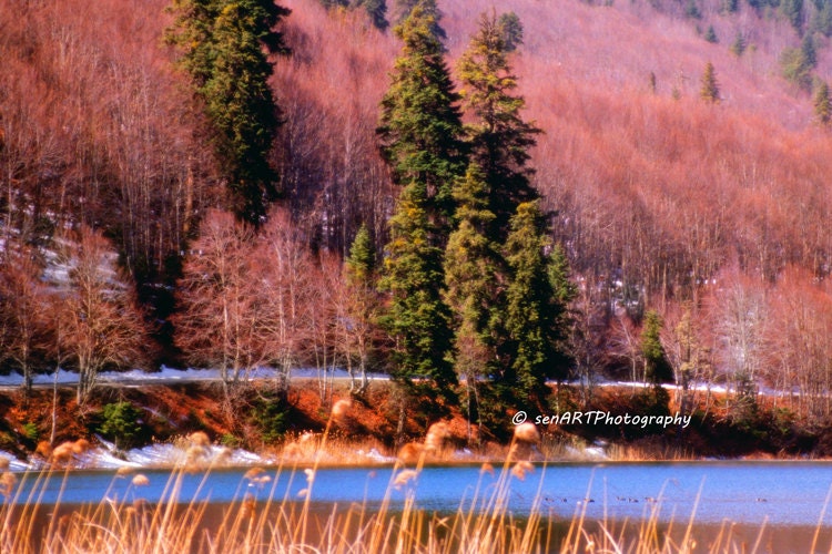 Lake Border 8"x12" Fine Art Wall Decor Autumn Photograph For Modern Cafe Bar Pub Hotel Restaurant Nursey Home Office