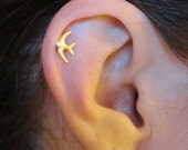 Sparrow Bird Cartilage Earring Tragus Helix Piercing