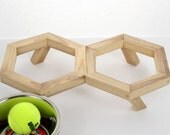 Raised Pet Diner - Kozmo - Medium