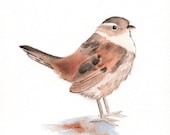 Wren Painting - bird wildlife art nature brown-  print of watercolor painting -A4 print