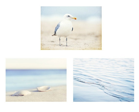Beach Photography Set - Three 5x7 Coastal Photographs - blue light white cream pale seashore wall art seashells sea shore ocean wall art