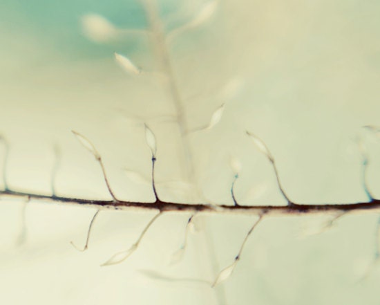 Minimalist mint print- woodland, winter, white, romantic, nature, nursery decor, icy, dreamy, 8x10 photograph, fine art
