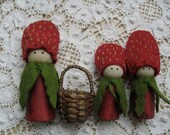 Strawberry family