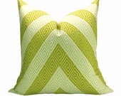 Nebaha Embroidery pillow cover in Citron - 20 x 20