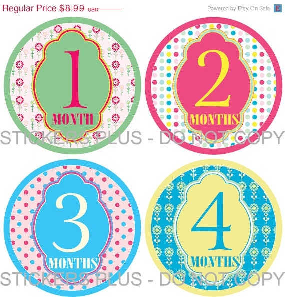 SALE Monthly Onesie Stickers Baby Girl Elegant Dots and Flowers - Fast Ship - 1-12 Months Plus BONUS Just Born