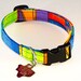 Color Splash - Dog Collar - Adjustable