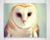 Barn Owl Photography / mint green orange golden cream / modern minimal woodland forest bird / 8x10 photograph print / "You Precious Thing"