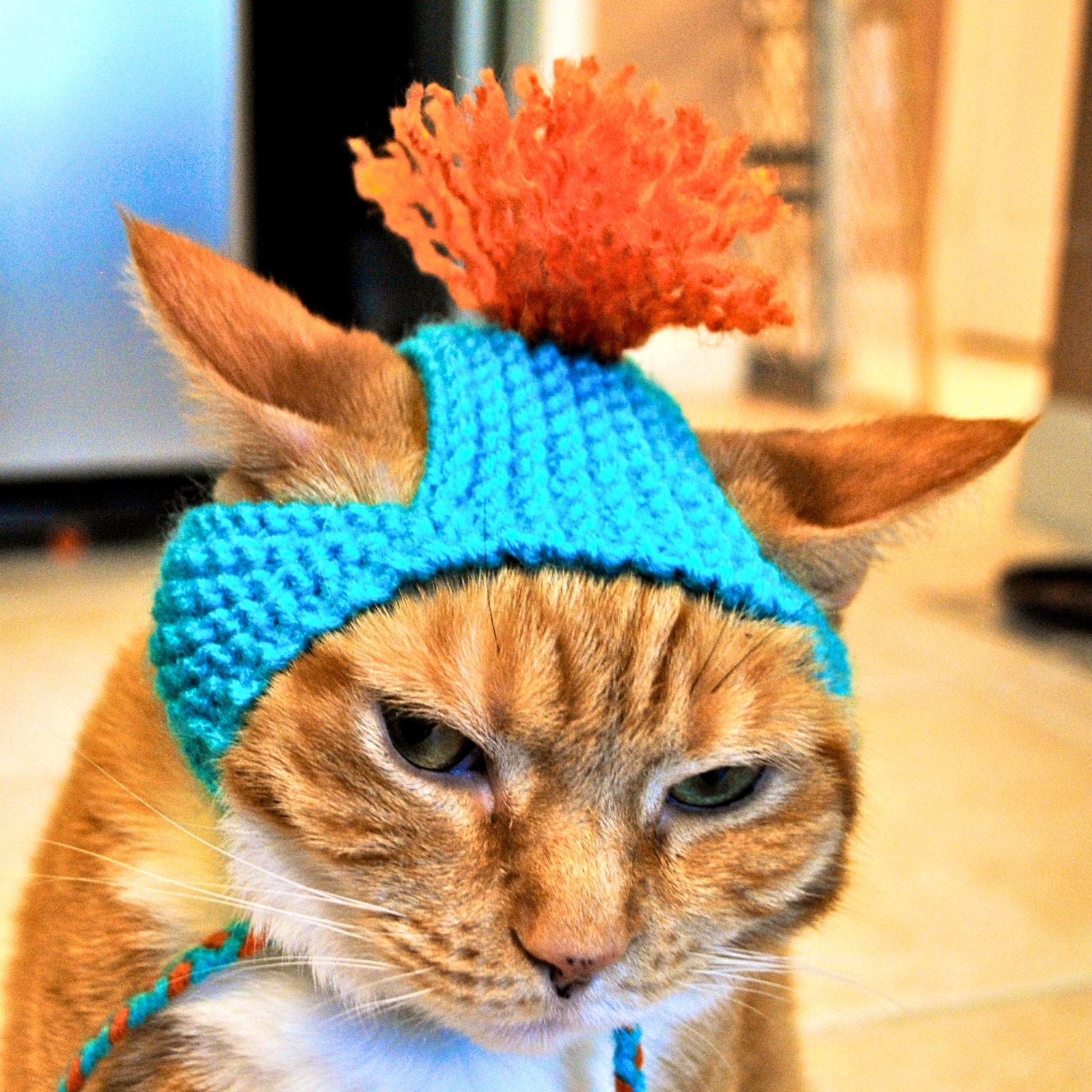 Cat Party Hat - Teal and Orange