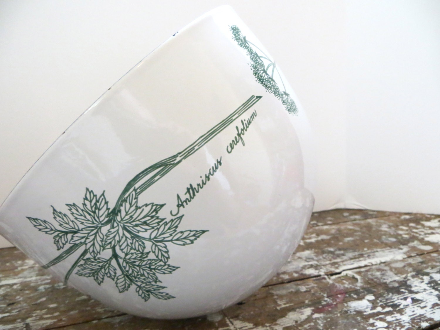 Arabia of Finland Finel Kaj Franck Enamelware Bowl Anthriscus Cerefolium
