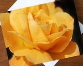Yellow Rose Blank Note Card, Invitation, Greeting Card