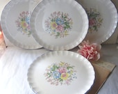 vintage Cottage Shabby Decor W.S. George Dinner Plates