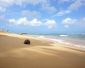 Beach, Ocean Art Print - Beach Photography - Turquoise Ocean, Blue Sky, Warm Golden Sand of Loquillo - Beach Wall Art - Beach Home Decor
