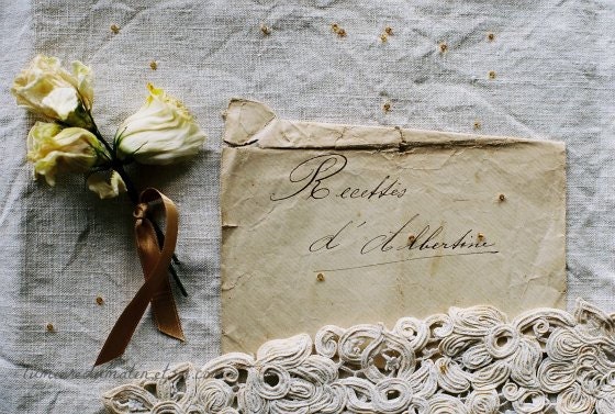 Petites douceurs - fine art film photo 8 x 12