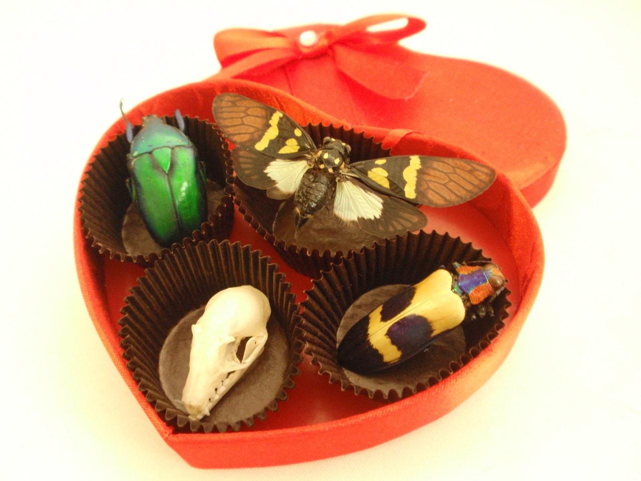 Nothing Says I Love You Like Crunchy Or Nougat