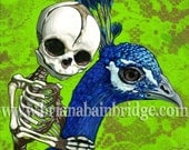 baby skeleton and peacock on green. signed print