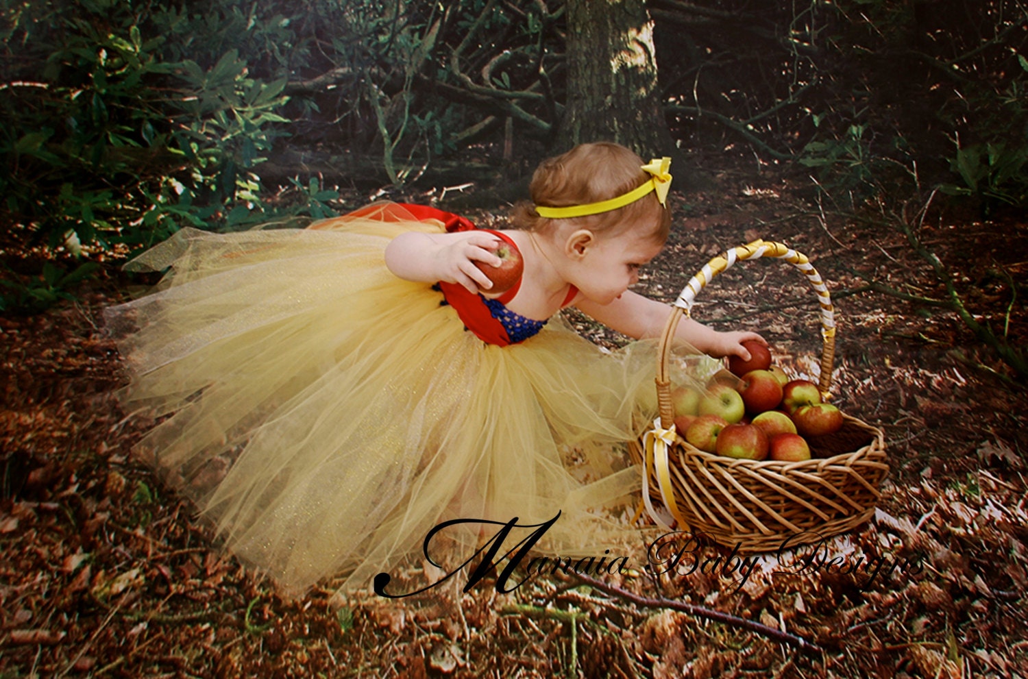Snow White Inspired Princess Tutu Dress -- Empire Waist, Royal Blue, Yellow, and Red