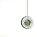 Air Planter - Small Handmade Fine White Porcelain Planter