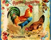 Riverside Royal Rooster Chicken Chickens Orange Citrus Fruit Crate Box Label Art Print