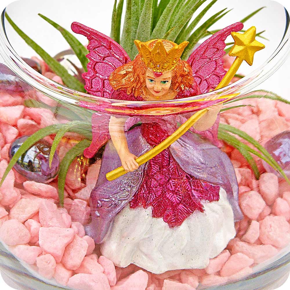 FAIRY PRINCESS mini terrarium - air plant. party favor, mothers day, feng shui decor, sand terrarium, mothers day gifts
