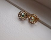 Gorgeous Dainty Gold & Aurora Boralis Earrings.