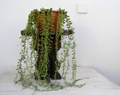 70s Rustic wood stand, Hand Carved Small side table, Flower Pot stand, Mini table, Wood Plant stand, Patio Plant Stand, Indoor Planter,