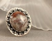 Silver Jurassic Yellow Cat Petrified Wood with Forticated Agate Ring