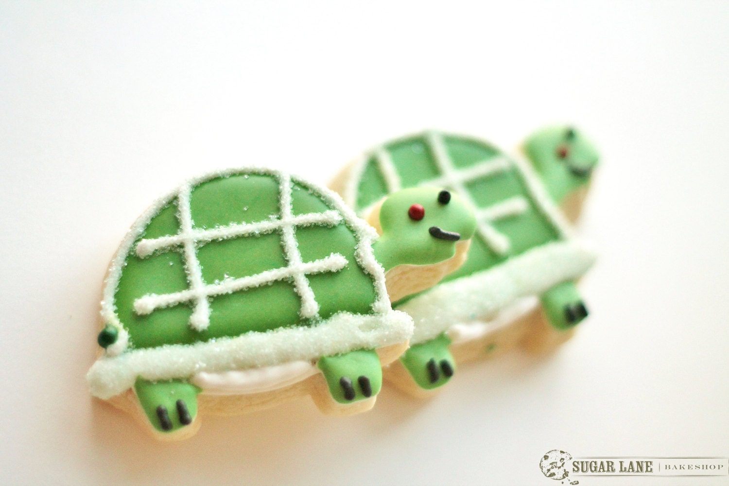 Turtle - Tortoise Decorated Sugar Cookies - Spring Treats