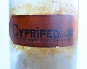 Antique druggist or herbalist bottle - 4