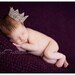 Epiphany Lace Crown in Champagne Gold...ON SALE regularly 18 dollars