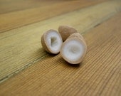 Miniature Coconuts