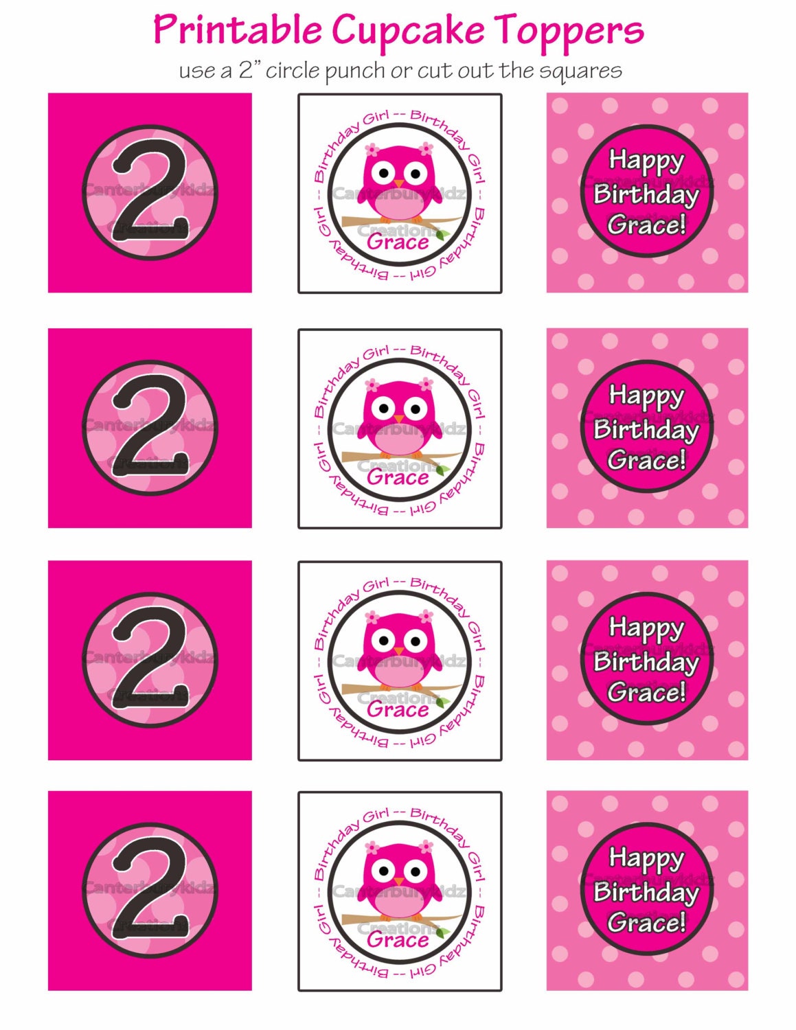 DIY Printable Birthday Girl Custom Iron on Transfer -- Personalized Design - Owl