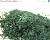 CLEARANCE ITEM 70% OFF Eye Shadow Mineral Makeup - Enchanted Forest Eye Shadow - 1g Mineral Makeup Vegan Eye Shadow