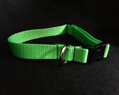 Neon Green Nylon Dog Collar (size Medium)