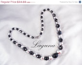 Lavish LAGUNA 19 Inch Metallic Silver & Jet/Black Crystal Necklace