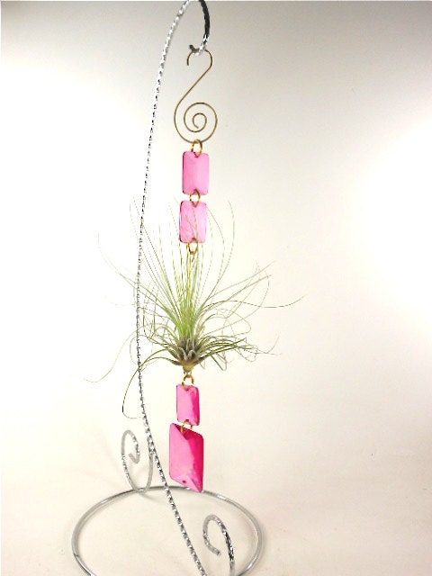 Hot Pink Limited Edition Air Plant Ornament  Girly Sweet For Her Gifts under 20