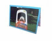 Toy Poodle Father's Day Card, Fathers Day Card from Dog, Card for Dad