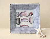 Pink Shell Art / Beach Decor Wall Hanging / Shell Decoupage Plate / Beach Wall Art / neutral home decor / pastel pink sand beach wedding gif