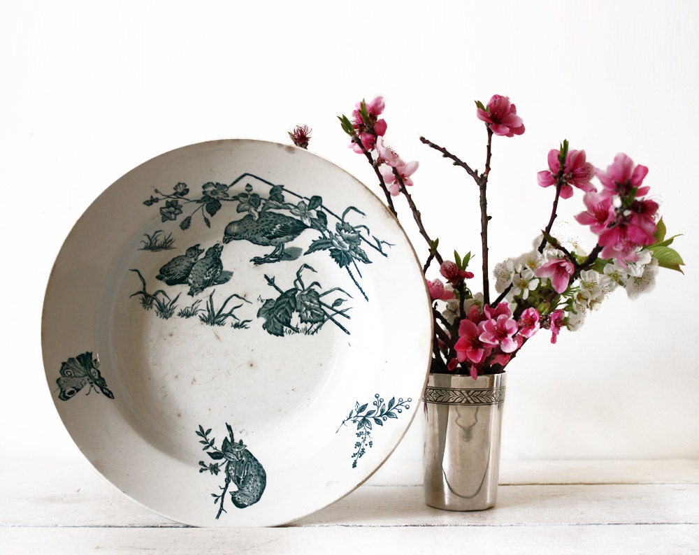 Large French St Amand DISH,  Bowl - Pattern Aucella a MOTHER BIRD feeding its young